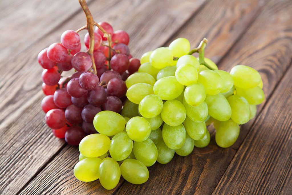 Проверка качества винограда
