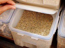 Как правильно хранить пшеничную крупу