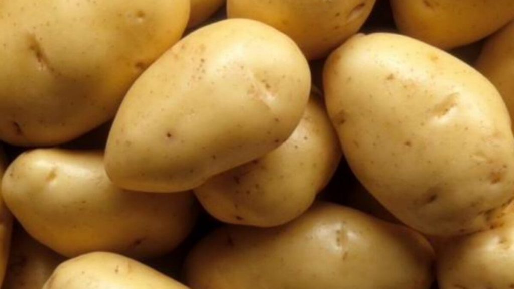 Как покупать и выбирать картофель
