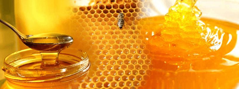 Как выбирать качественный мед