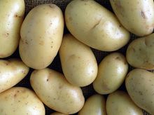 Как правильно выбирать картофель