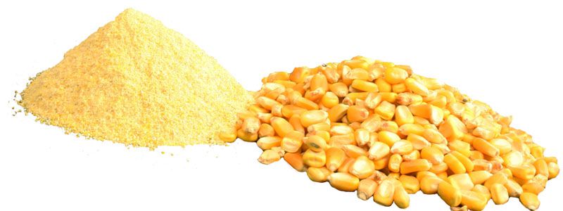 Кукурузная крупа - превосходный продукт питания