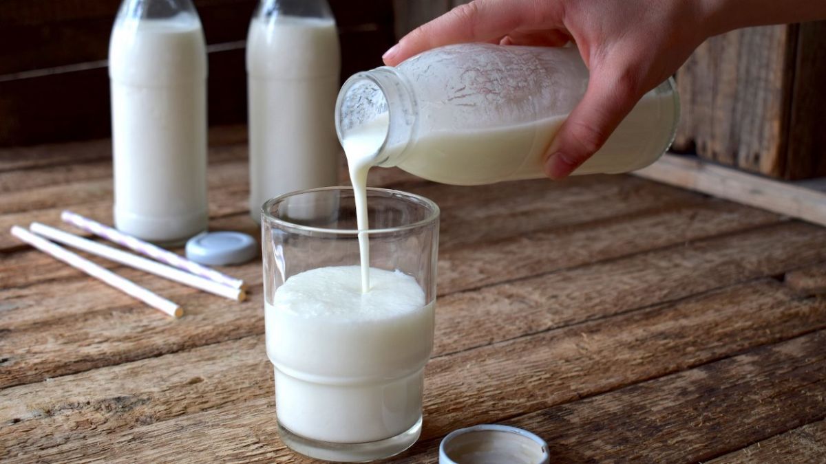 Основные показатели жирности молока