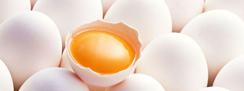 Как правильно определить качество и свежесть яиц