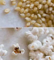 Попкорн и другие виды кукурузной крупы