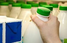 Правильное хранение кисломолочных продуктов и необходимая тара 