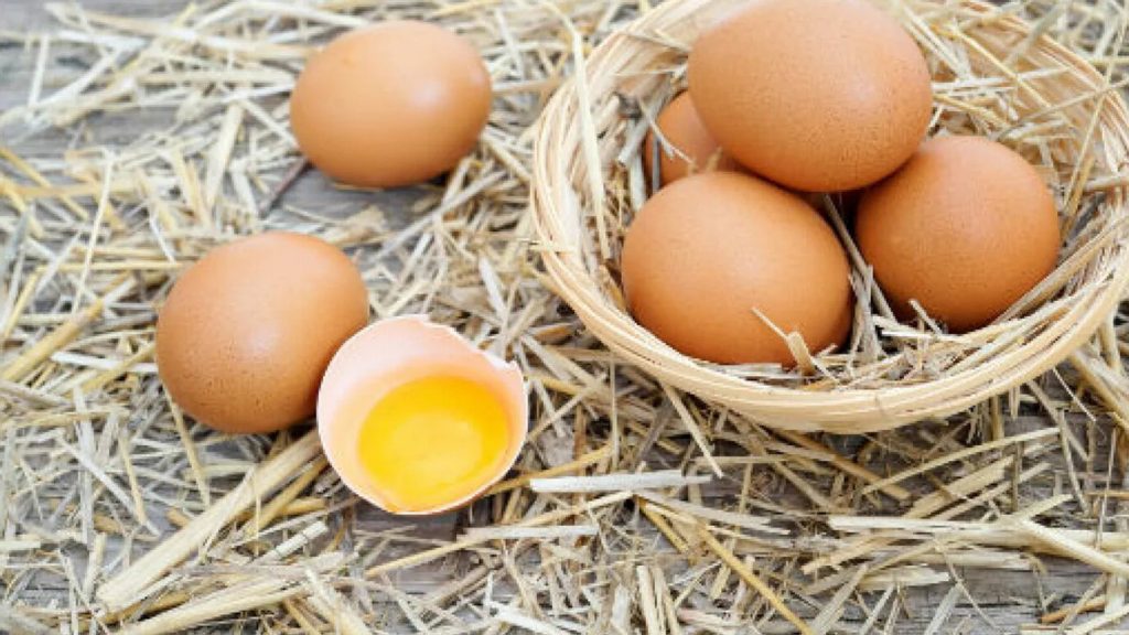 Определение качества яиц