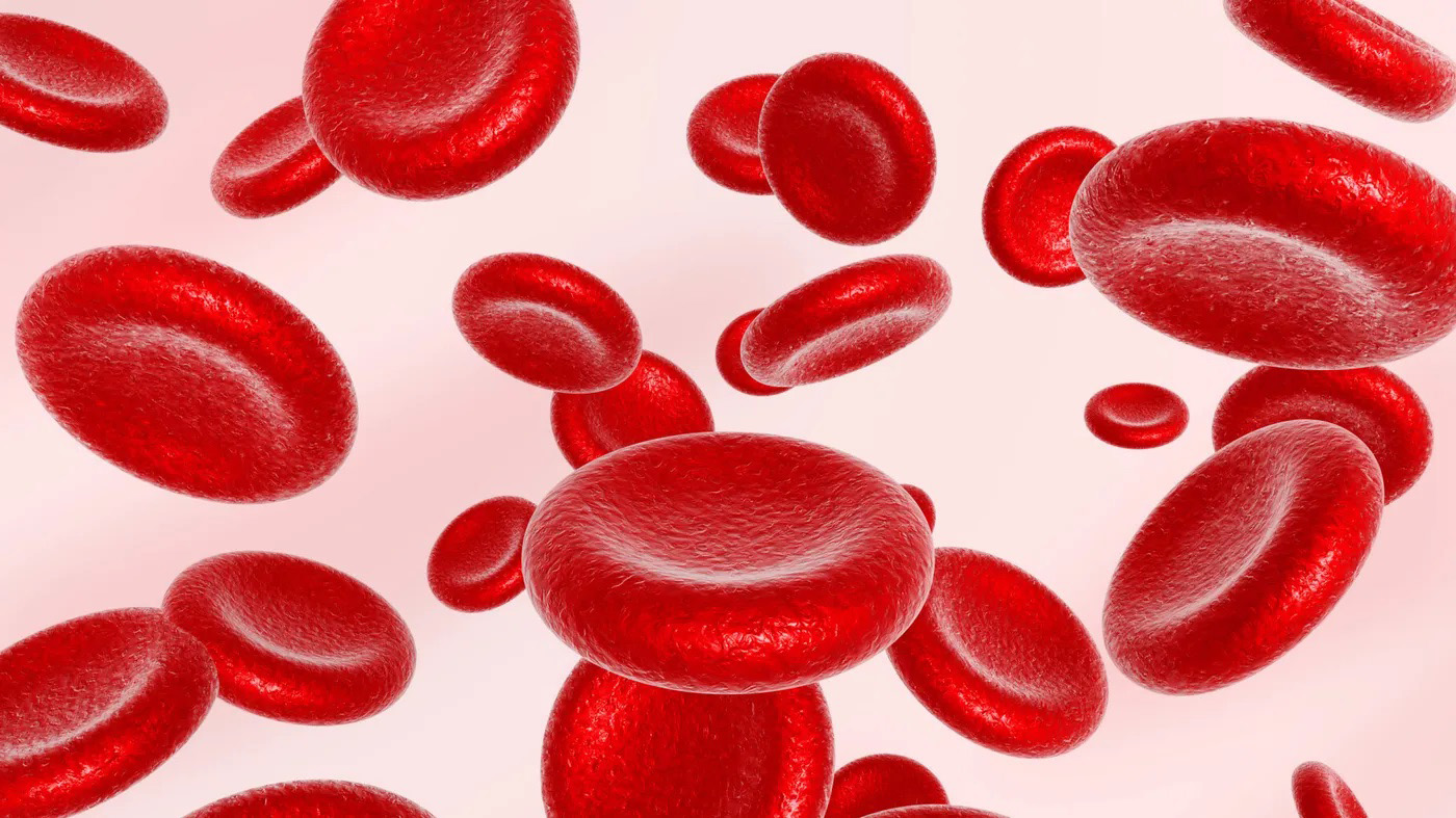 Анемия количество эритроцитов. Эритроциты. Красные кровяные тельца. Ярко красный цвет крови.