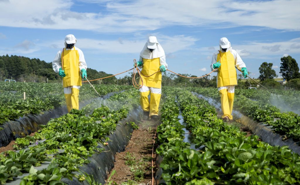 Определение пестицидов в продуктах питания
