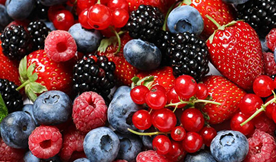 Питание ягодами продлевает жизнь