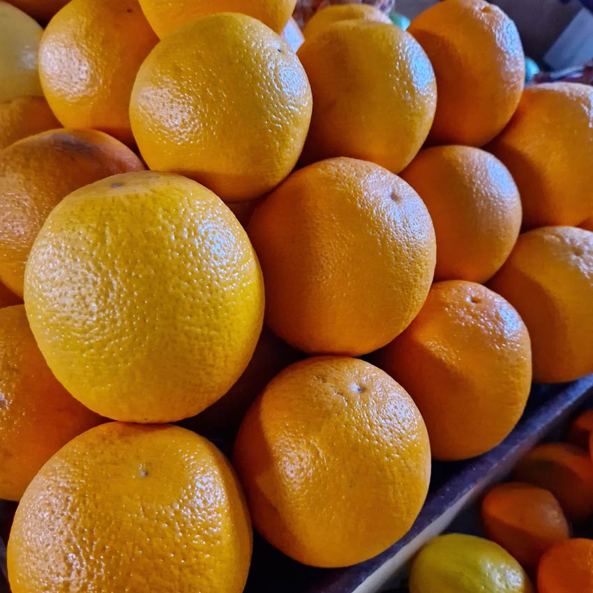 Хранение апельсинов в домашних условиях