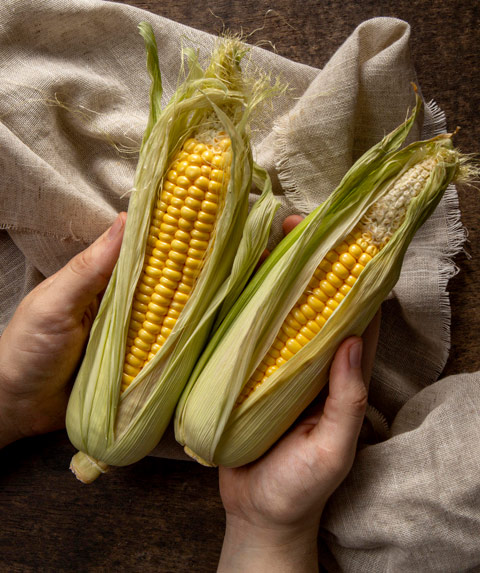 Как хранить кукурузу в початках