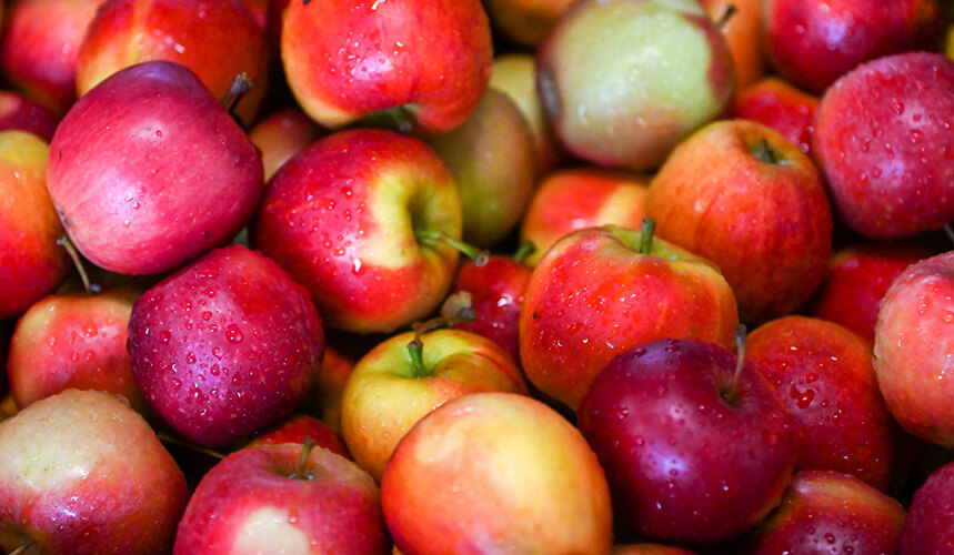 Яблоки с красной мякотью – чем интересны и можно ли их есть