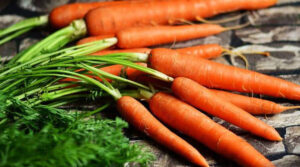 Разработан новый гибрид моркови